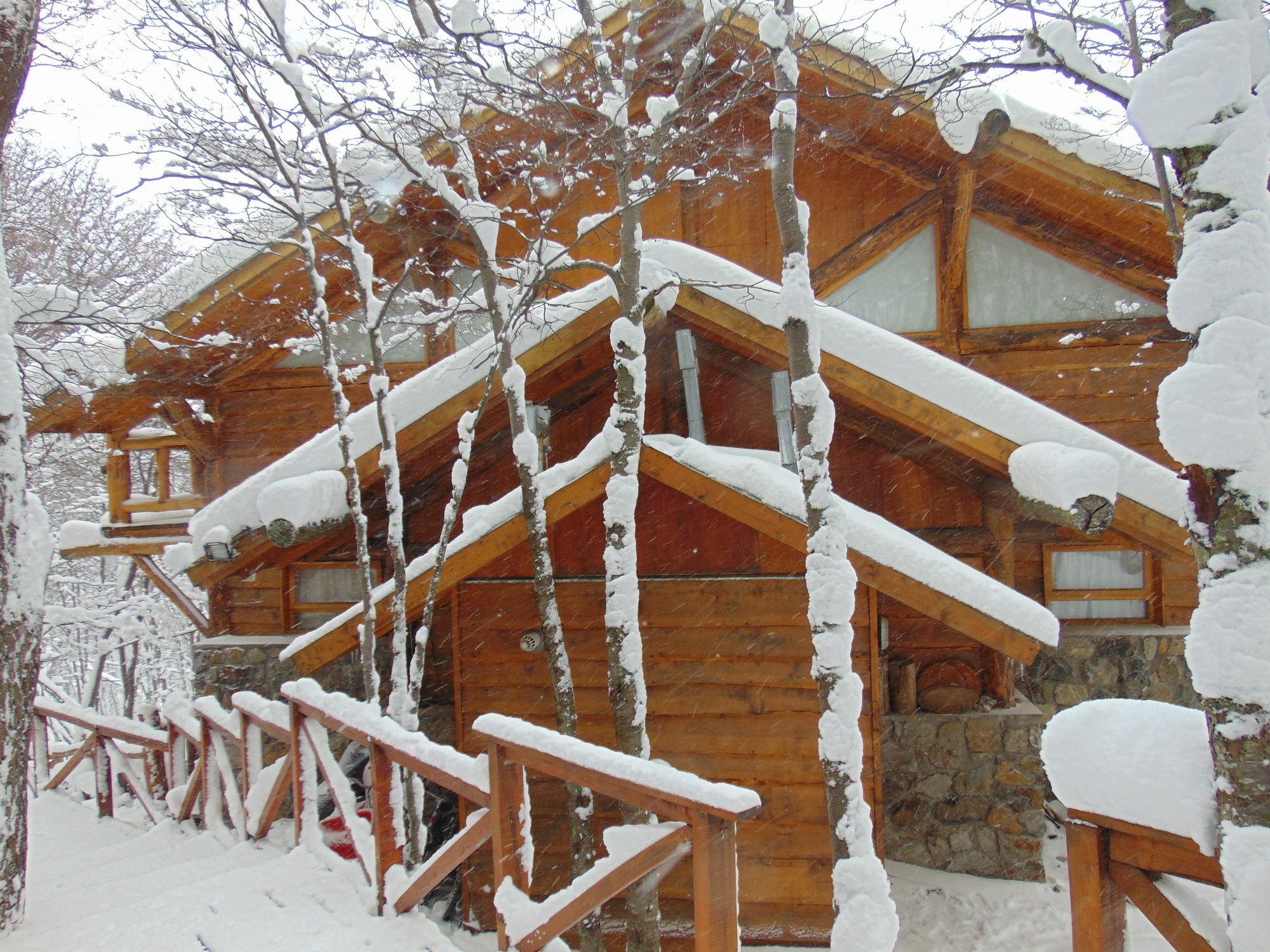 Patagonia Villa Lodge Ushuaïa Extérieur photo